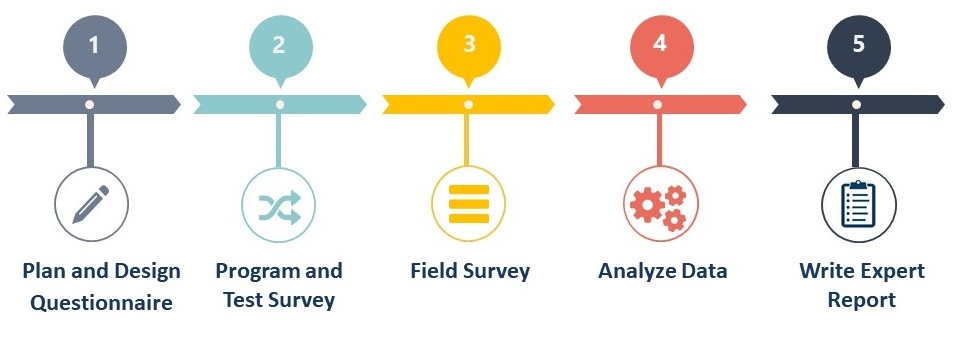 Consumer Survey Timeline